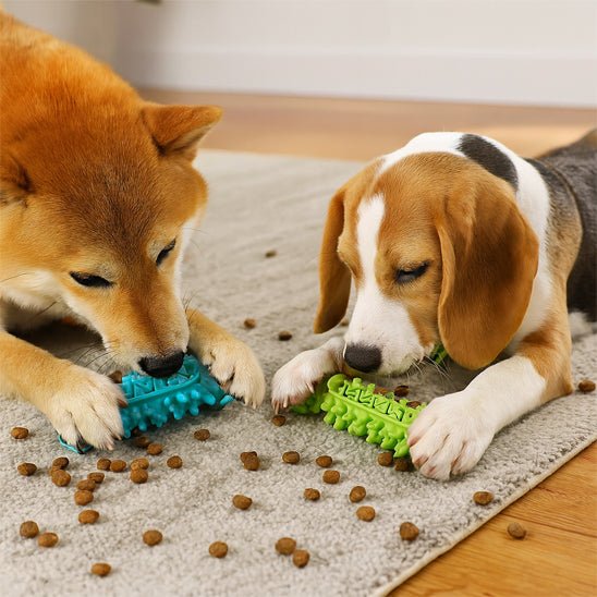 Jouets pour chiots 3 mois | Douceur Dentaire - Excursion Chien