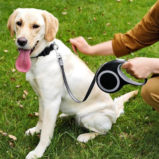 Laisse Enrouleur Rétractable pour Chien – Poignée Ergonomique - Excursion Chien