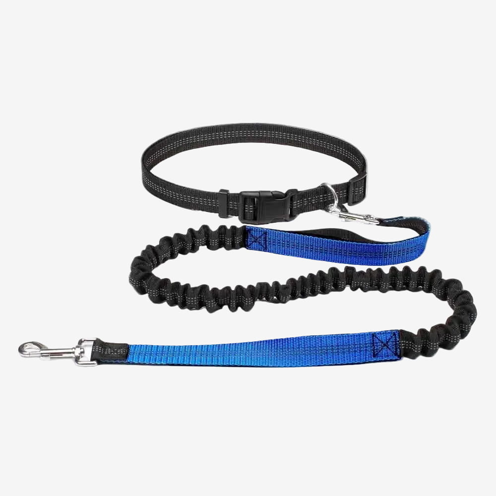 Laisse Mains Libres pour Chien | Élastique Antichoc - Excursion Chien