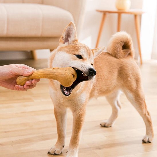 os pour chien indestructible | Naturel-Soft - Excursion Chien