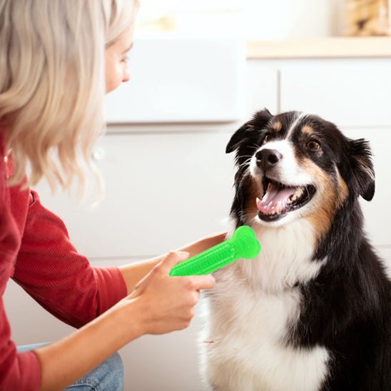 os pour chiot | Résistant Apaisant - Excursion Chien