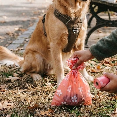 Sac a Crottes pour Chien | Biodégradable - Excursion Chien