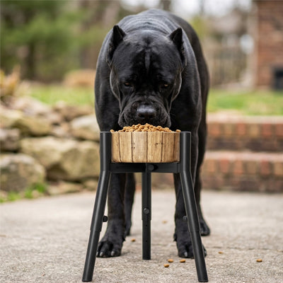 support gamelle pour chien qui embellit votre intérieur