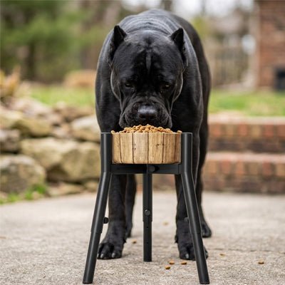 Support gamelle Pour Chien | Réglable Scandinave - Excursion Chien