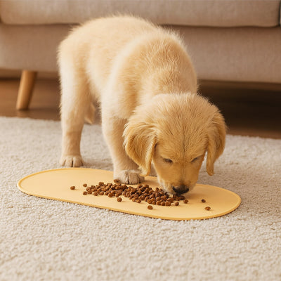 tapis absorbant gamelle chien qui s'adapte à votre intérieur