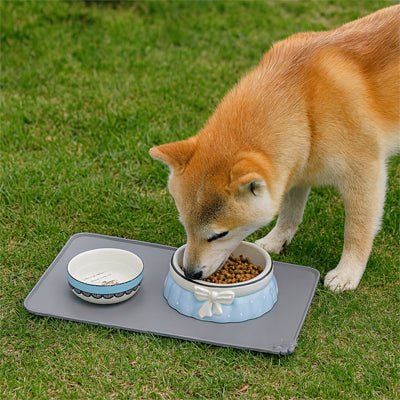 Tapis Gamelle pour Chien | Anti-éclaboussures - Excursion Chien