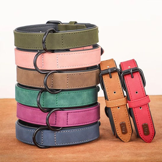 collier chien | Moudoux
