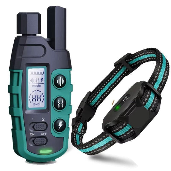 Avis collier anti fugue Chien