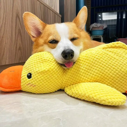 Comment bien choisir une peluche pour son Chien ? - Excursion Chien
