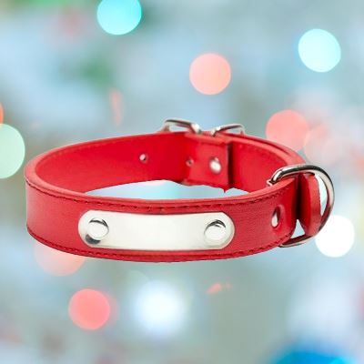 Collier de Chien - LeatherDogCollar™ - Rouge - Excursion Chien