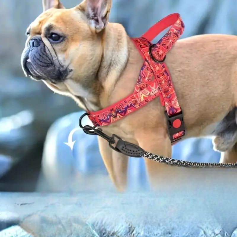 Harnais pour chien - DogSafeHarness™ - Rouge - Excursion Chien