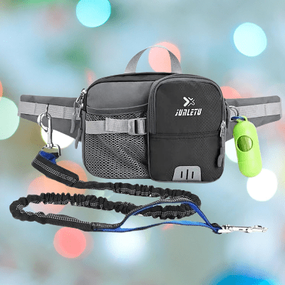 WaistBag™ - Gris - Excursion Chien