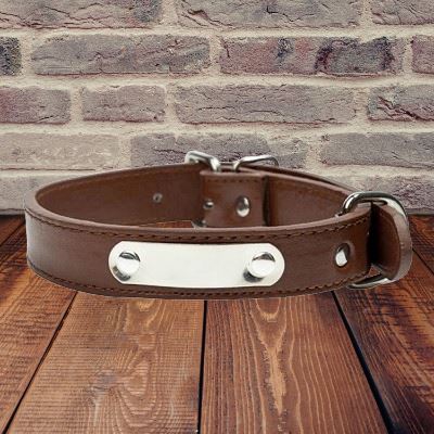 Collier de Chien - LeatherDogCollar™ - Marron - Excursion Chien