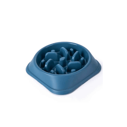 Accessoire alimentation lente pour chien