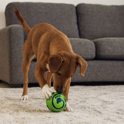 Balle pour Chien | Ultra-Rebondissante