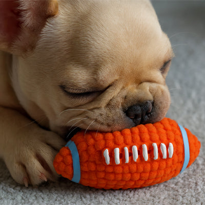 Balle pour Chien indestructible | Rugby
