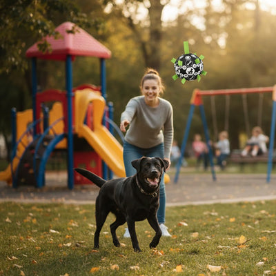 Balle pour chien | Joy