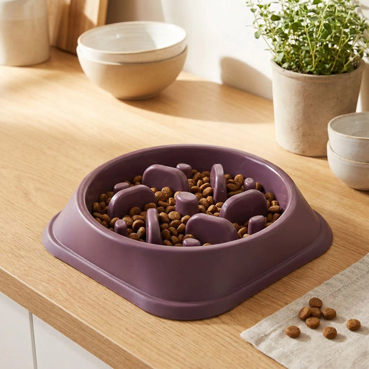 Bol anti-glouton pour chien avec croquettes