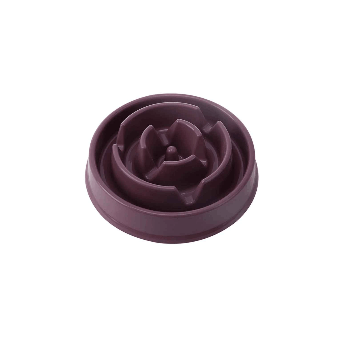 Bol ralentisseur de repas pour chien de petite taille