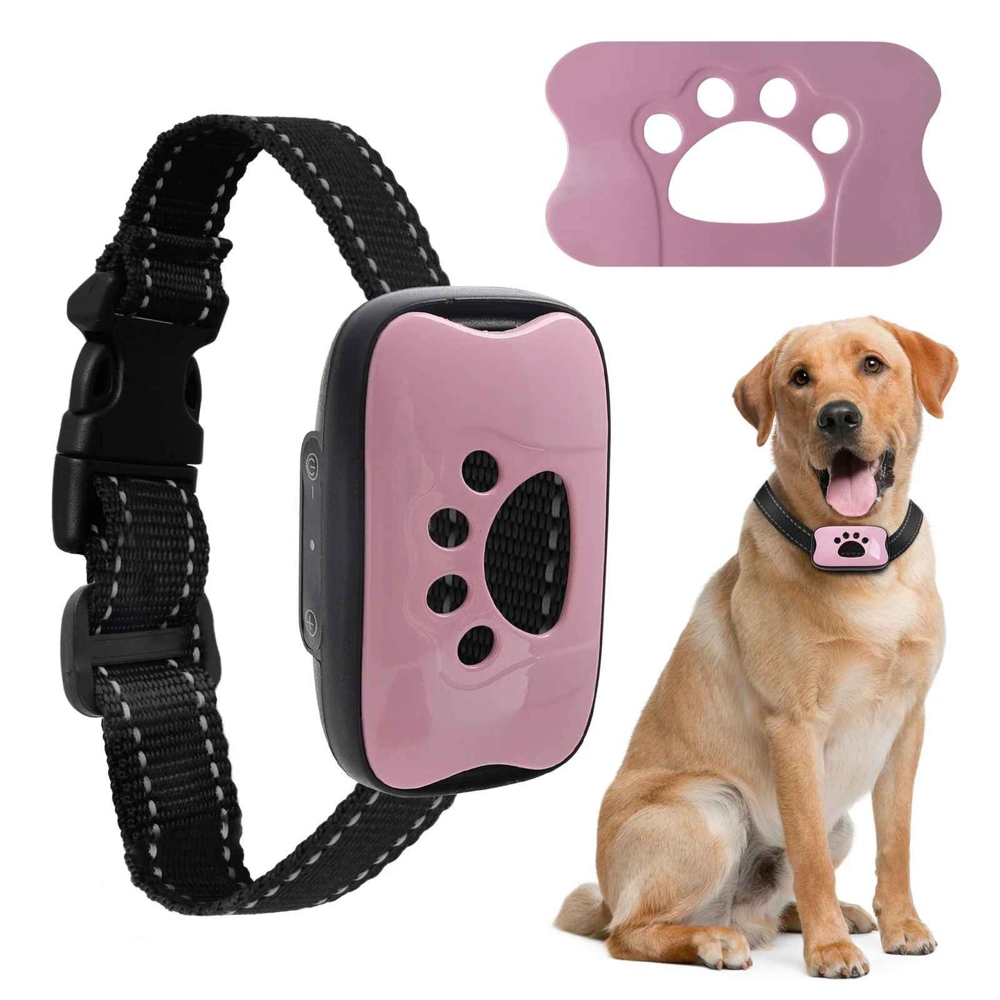 Collier Anti Aboiement Pour Chien | Doux et Efficace - Excursion Chien
