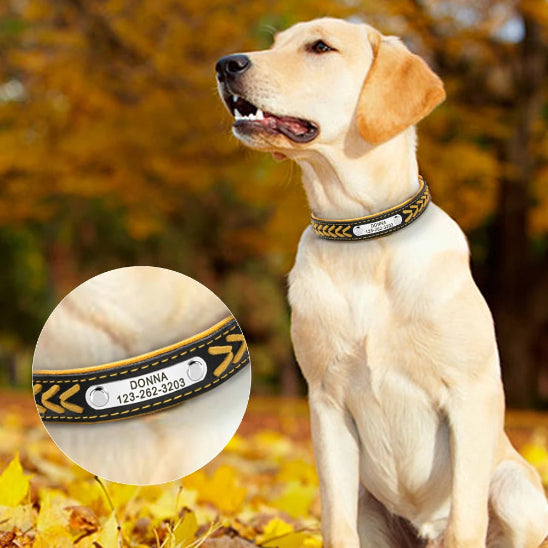 Collier chien personnalisé en cuir tressé élégant