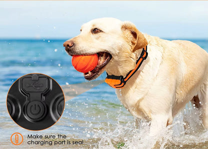 Collier de dressage électrique pour chien