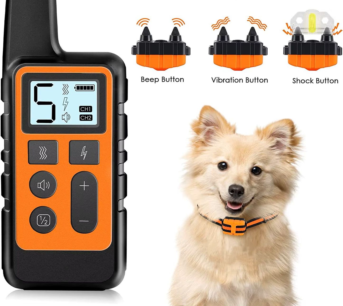 Collier de dressage électrique pour chien