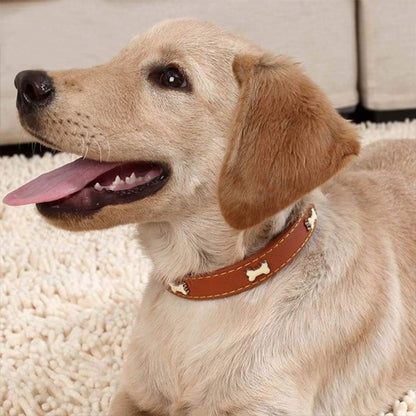 Collier cuir Chien élégant
