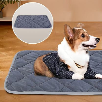 Coussin chien | Chauffant