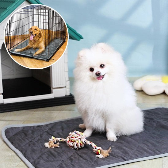 Coussin chien | Chauffant