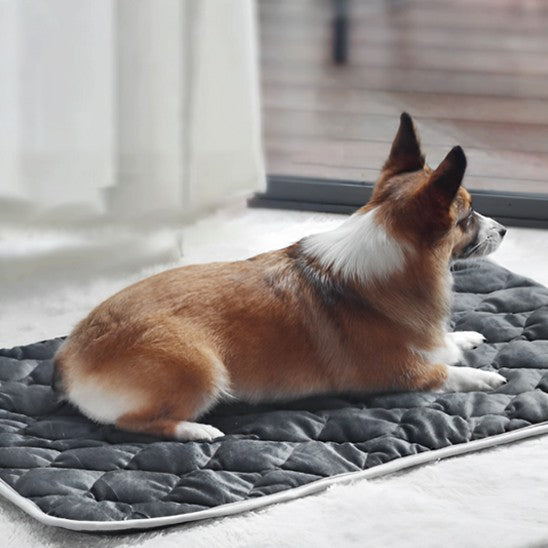 Coussin chien | Chauffant