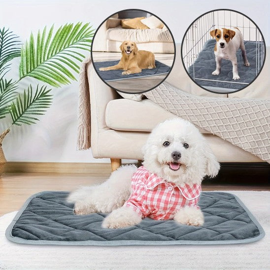 Coussin chien | Chauffant