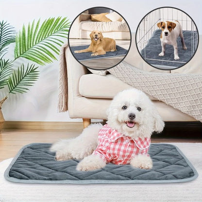 Coussin chien | Chauffant