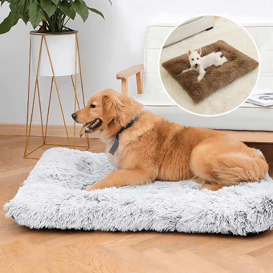 Coussin pour chien