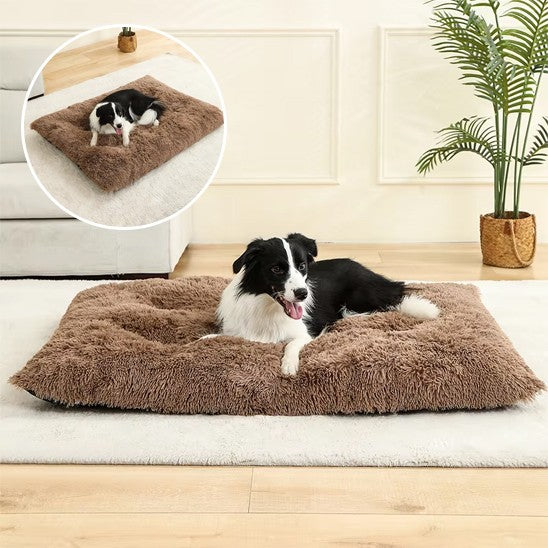 Coussin pour chien
