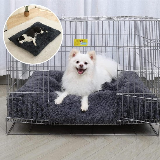 Coussin pour chien