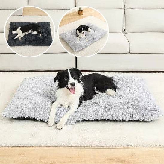 Coussin pour chien