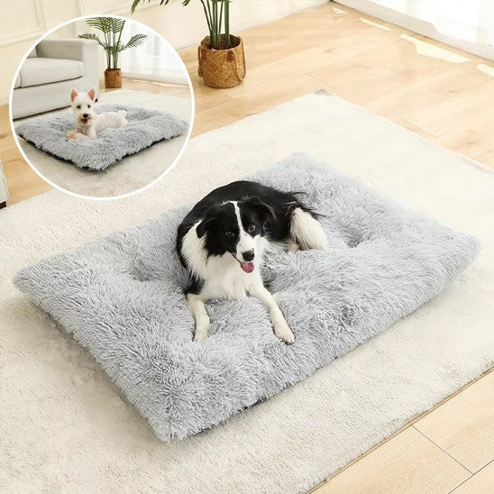 Coussin pour chien