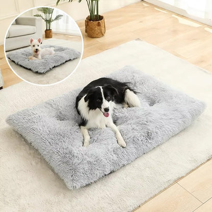 Coussin pour chien
