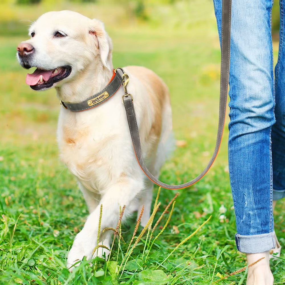 Collier Chien personnalisé prenom gris