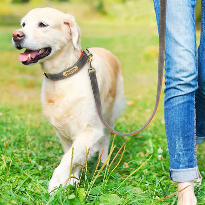 Collier Chien personnalisé prenom gris