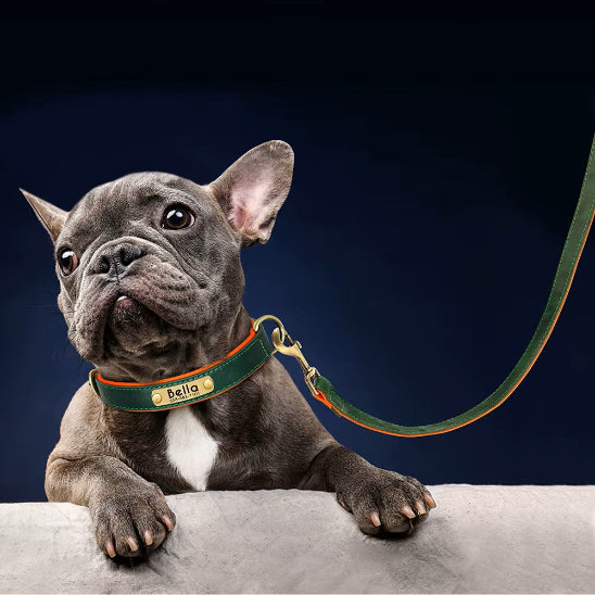 Collier Chien personnalisé prenom vert