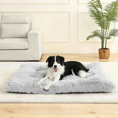 Coussin pour chien