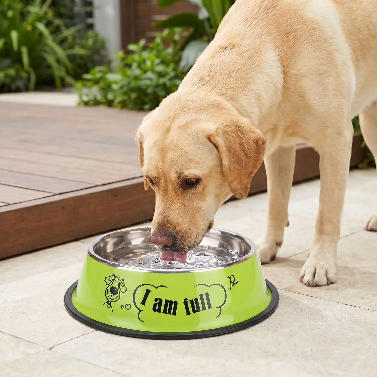 Gamelle chien inox vert adaptée à chaque morphologie canine