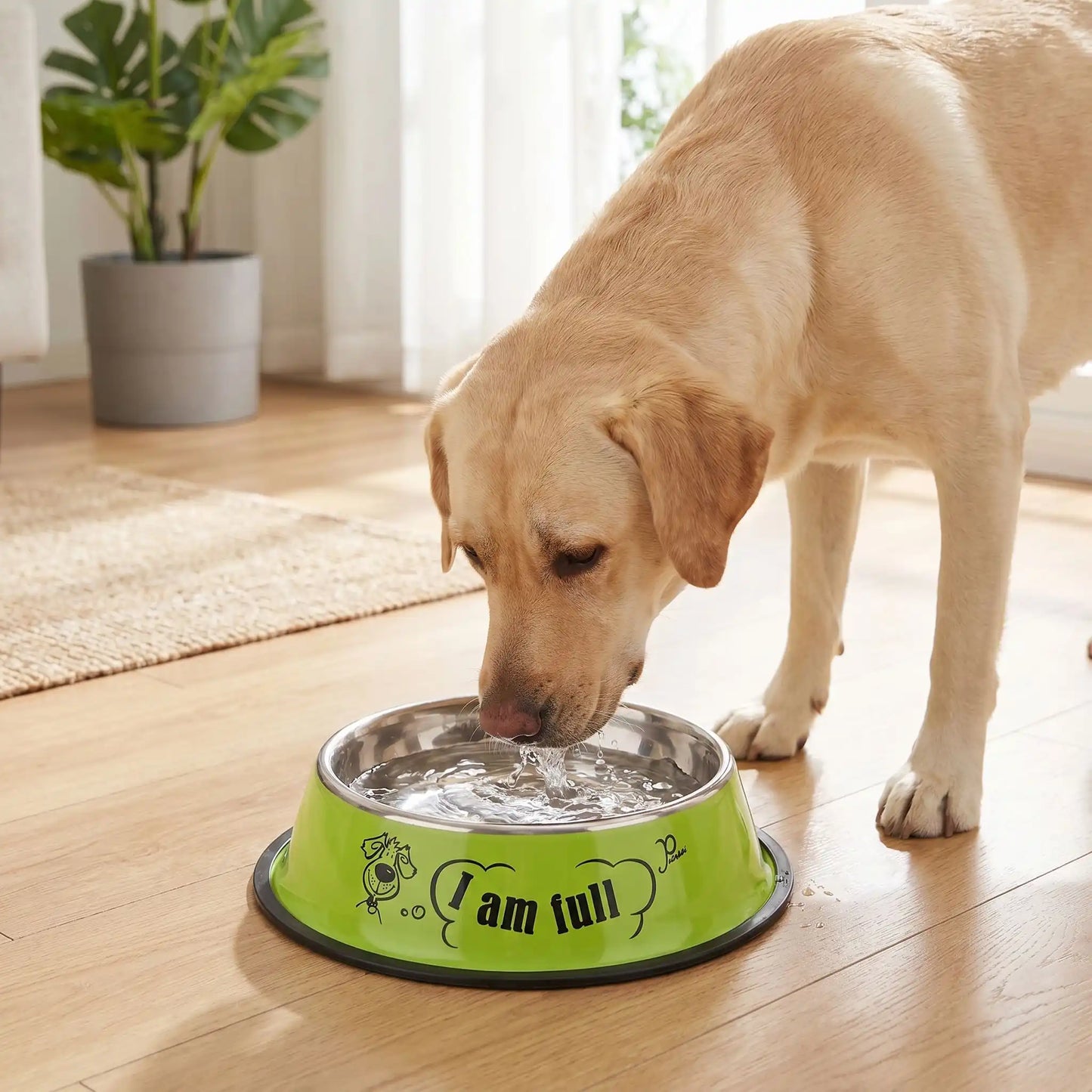 Gamelle chien inox vert en design joyeux qui embellit votre intérieur
