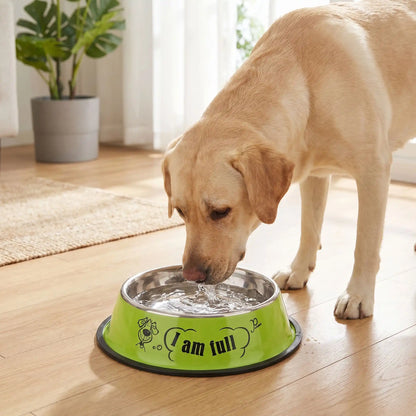 Gamelle chien inox vert en design joyeux qui embellit votre intérieur