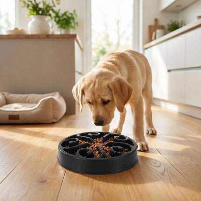 Gamelle labyrinthe pour chien avec croquettes