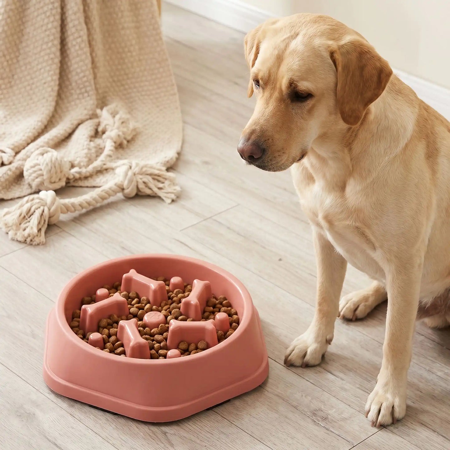 Gamelle ralentisseur pour chien rose remplie de croquettes