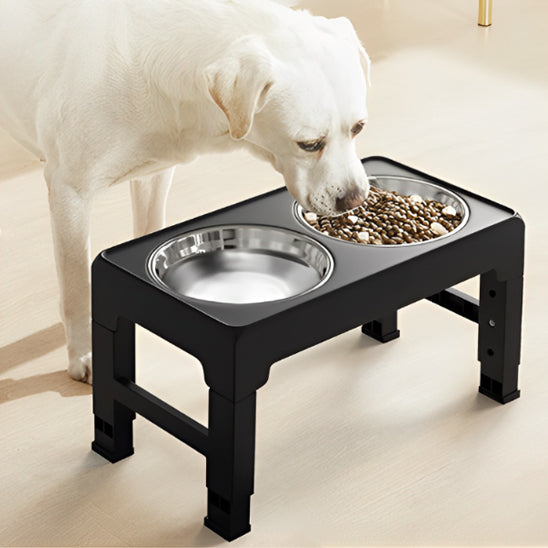Gamelles surelevees pour chiens qui soulage les douleurs articulaires de votre animal