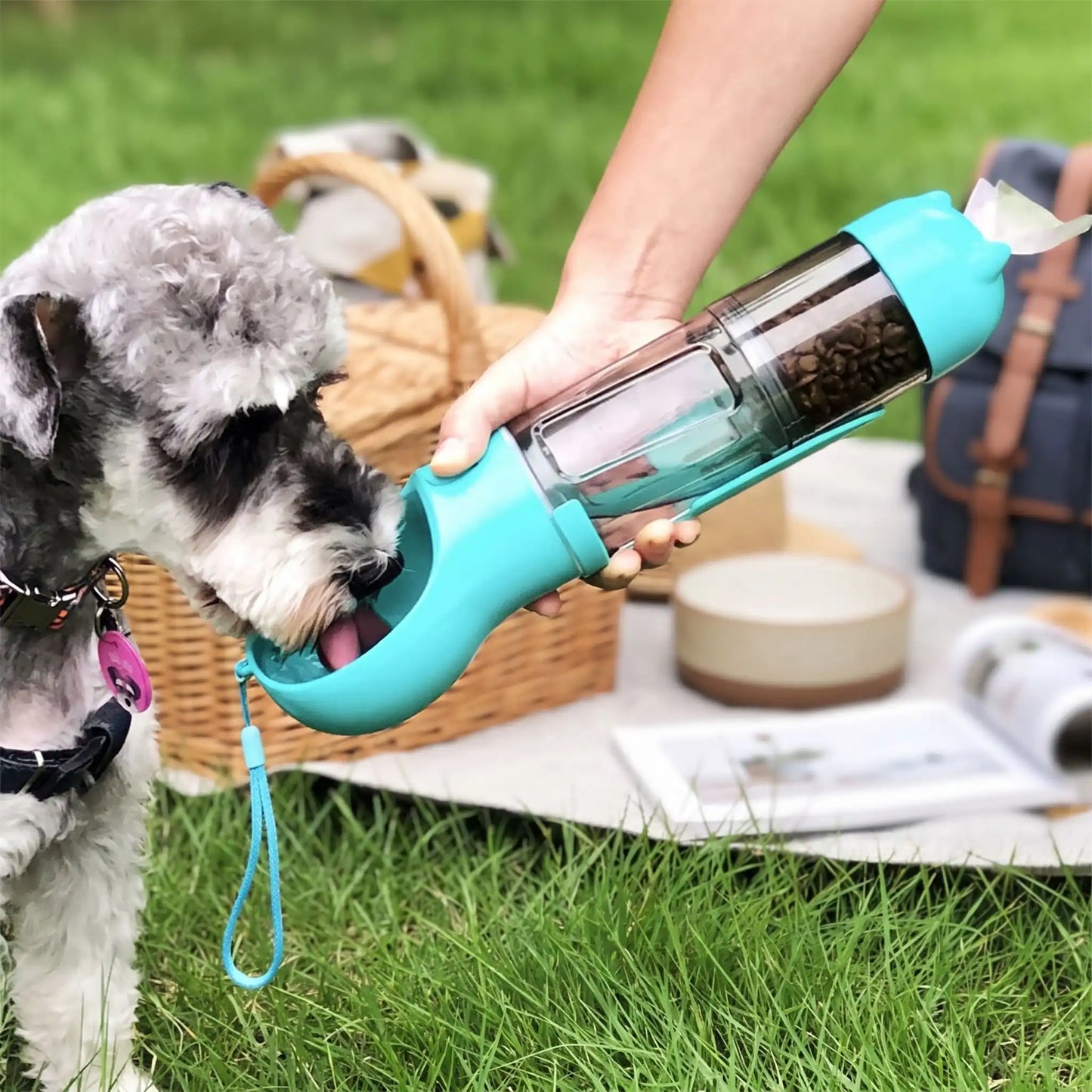 Gourde Chien Promenade | 4-en-1 Multifonction